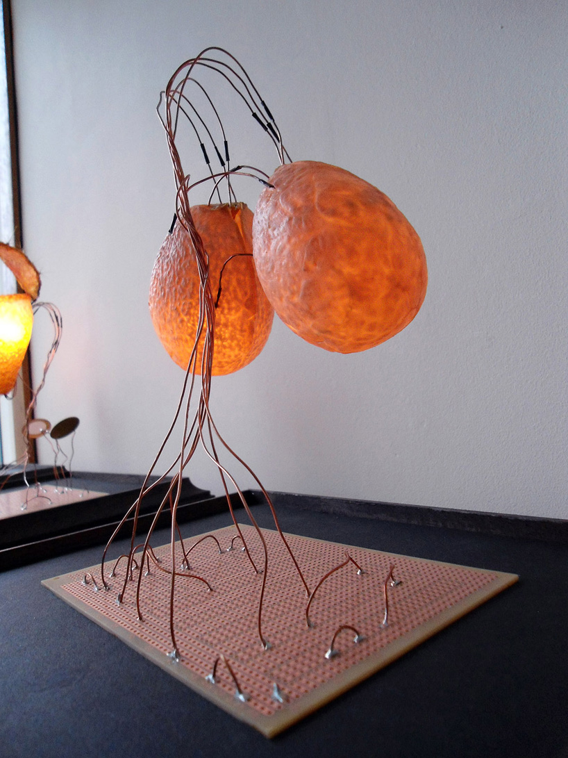 blooming senses by atelier fraser ross