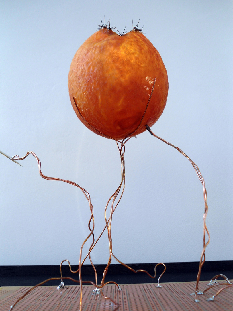 blooming senses by atelier fraser ross