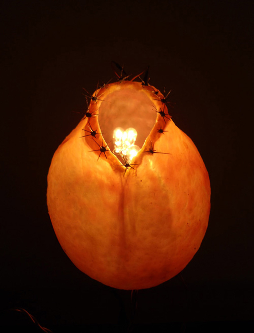 blooming senses by atelier fraser ross