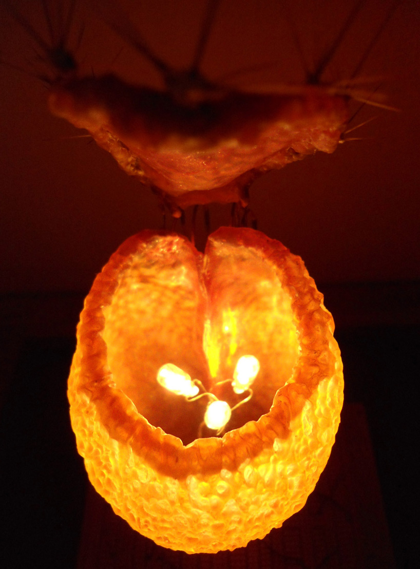 blooming senses by atelier fraser ross