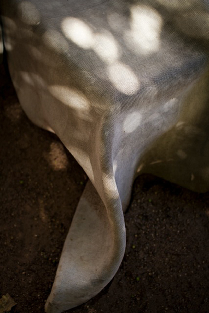 archrival: concrete colony