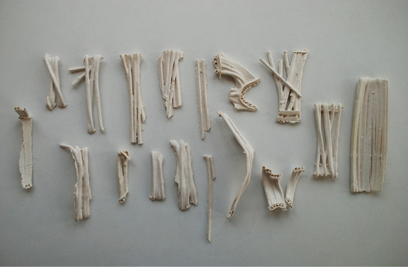 shira shoval: bones