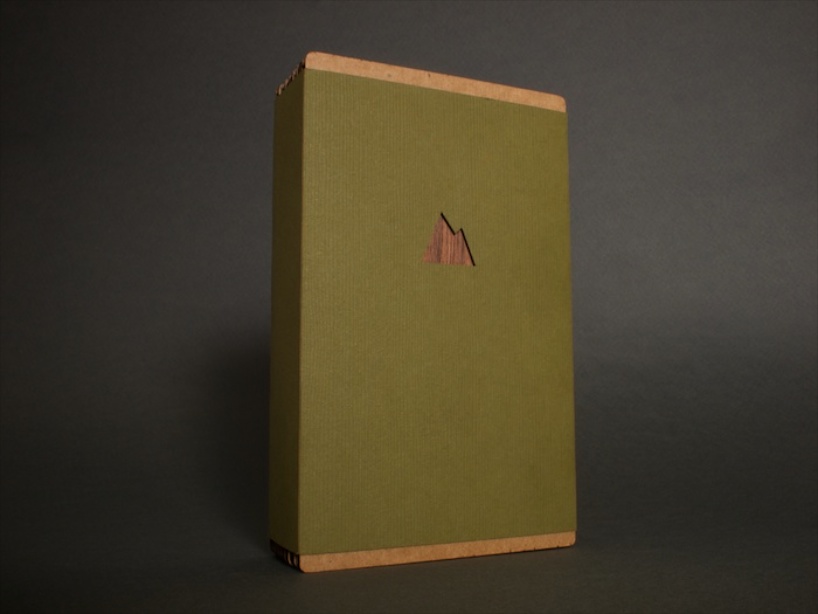 monolith: solid wood iphone back