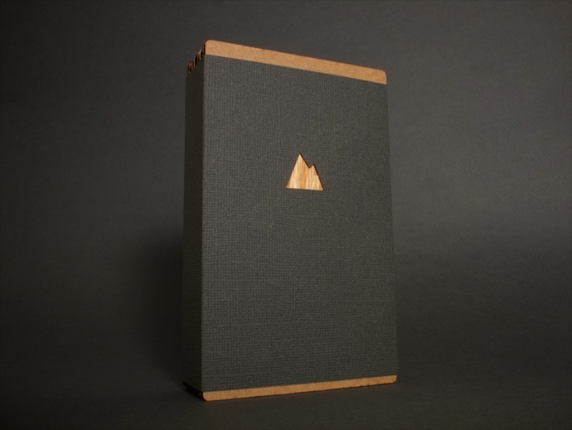 monolith: solid wood iphone back