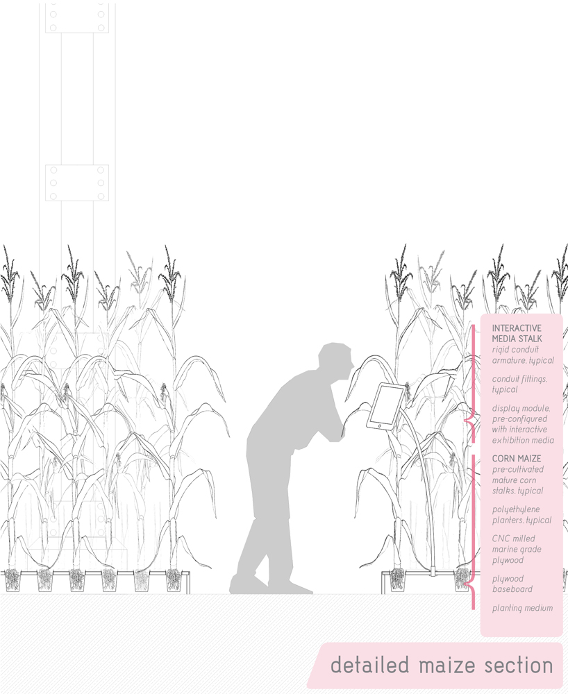amaizeing by TOAST Group