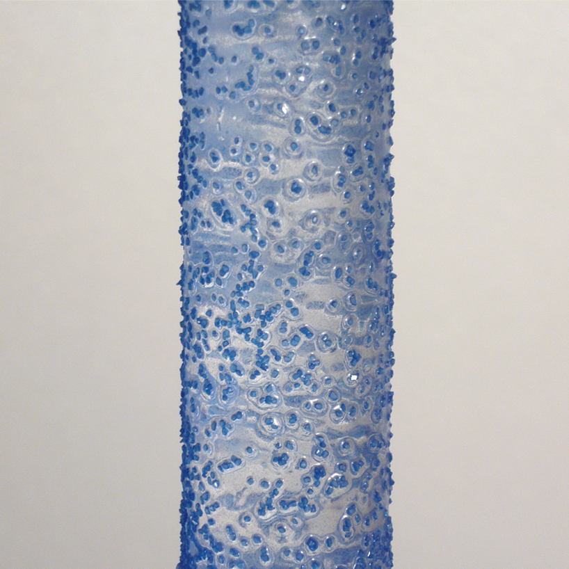 moment by shinobu koizumi