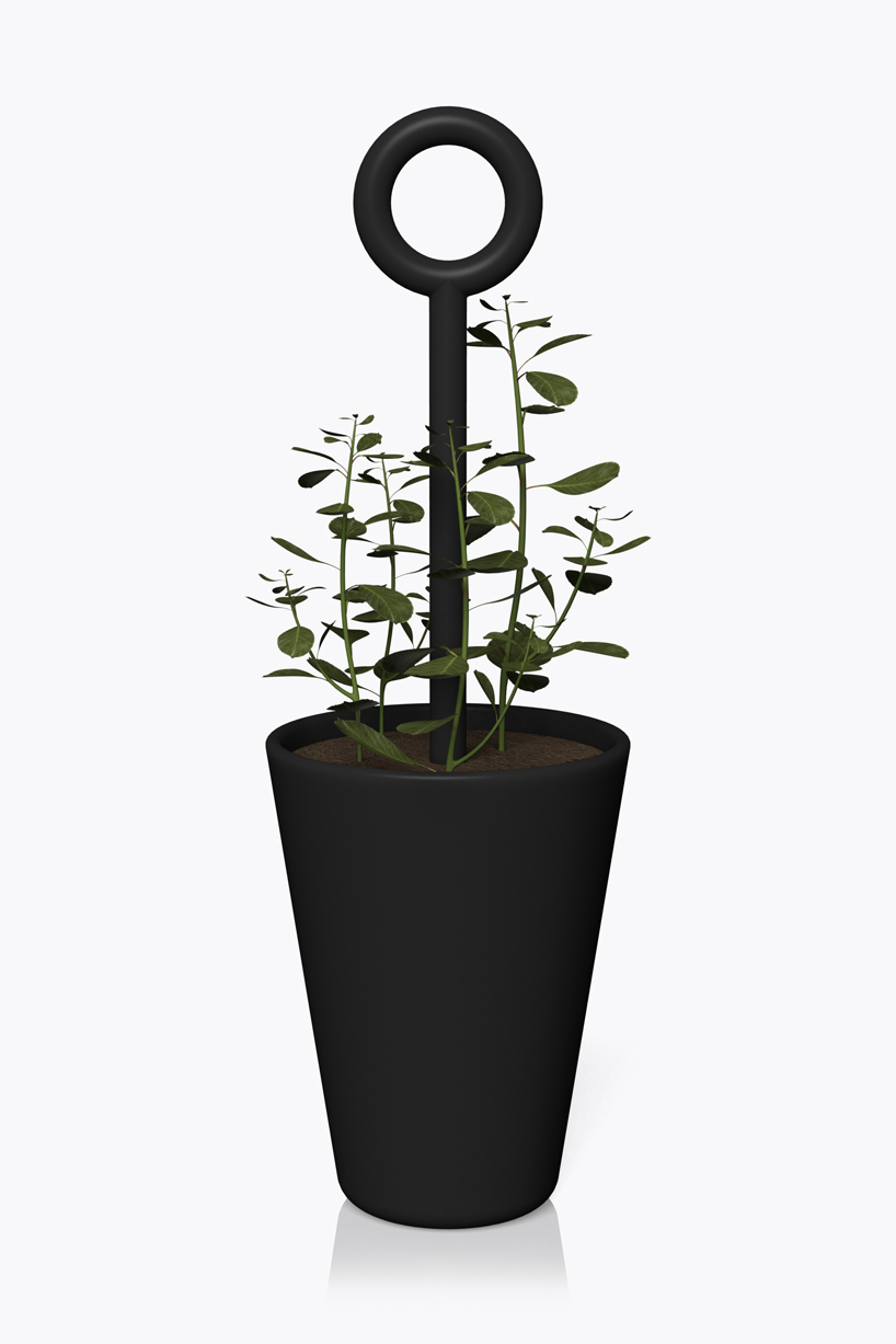 buddy by quentin de coster