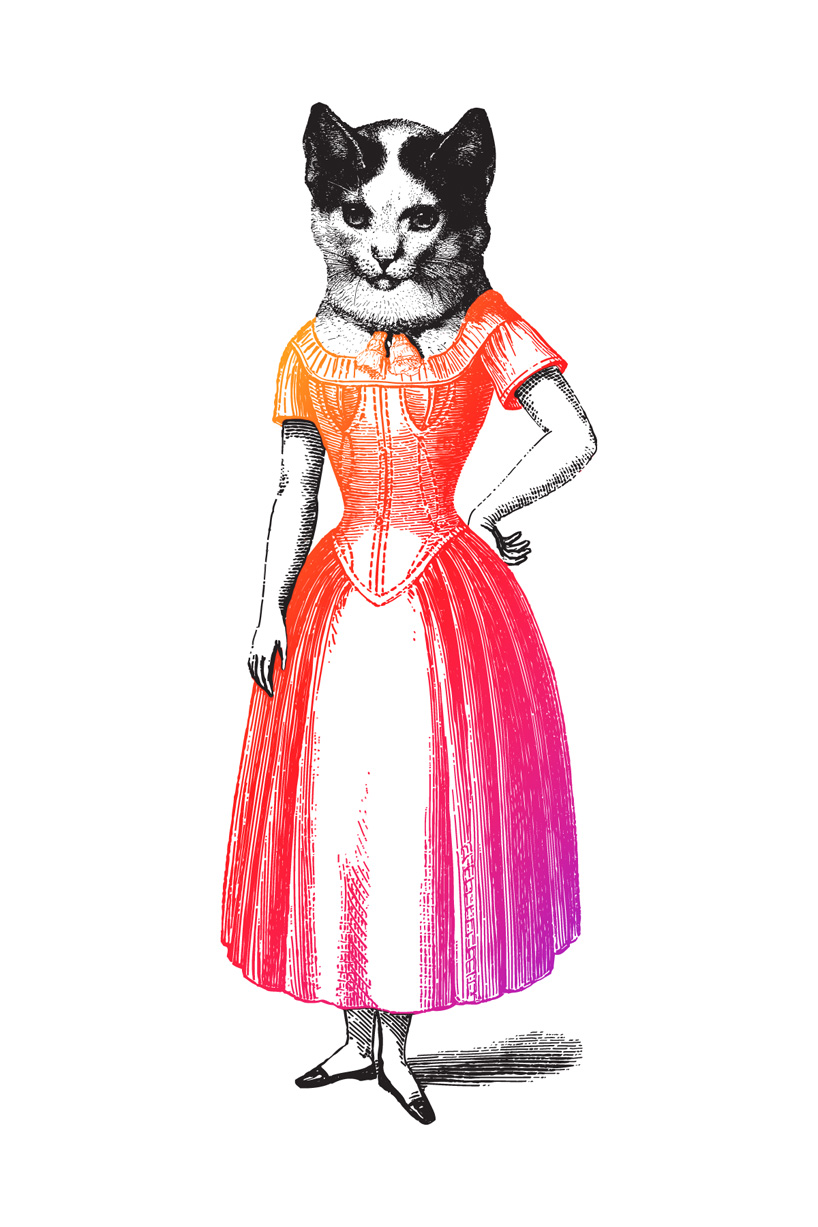 pussies on parade: a repository of feline art