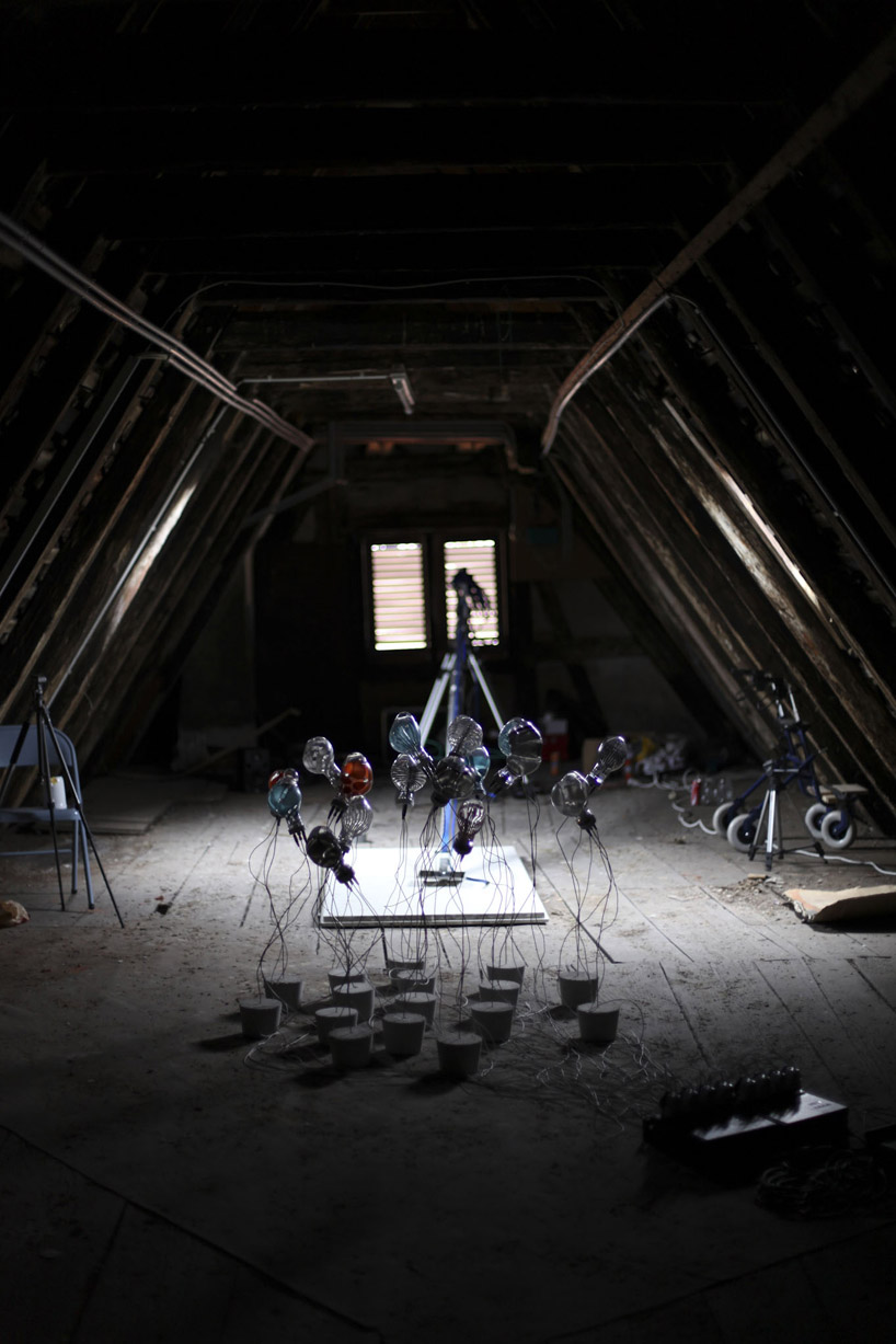 growing lampshades by peter kraft