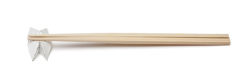 hamana takeshi + iwagaki yuya: temotoasobi