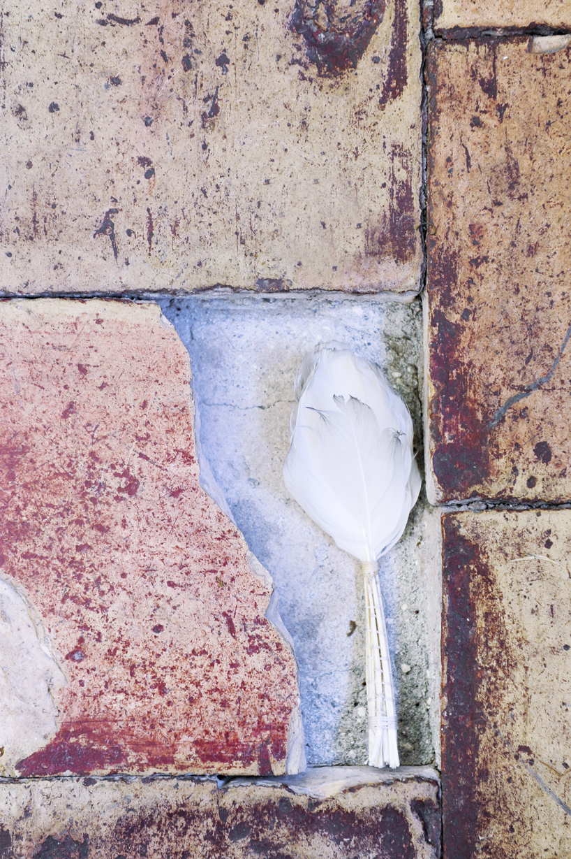 jorge canete: calligraphy