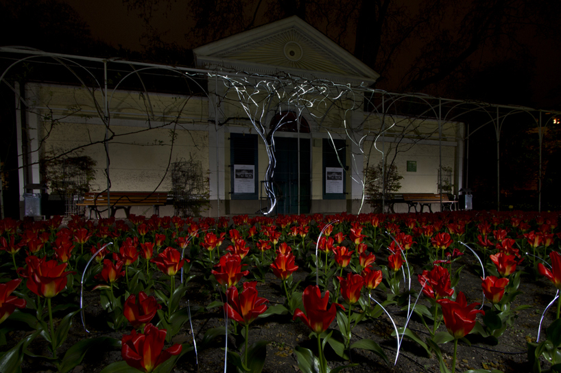 growing light by gorillalighting