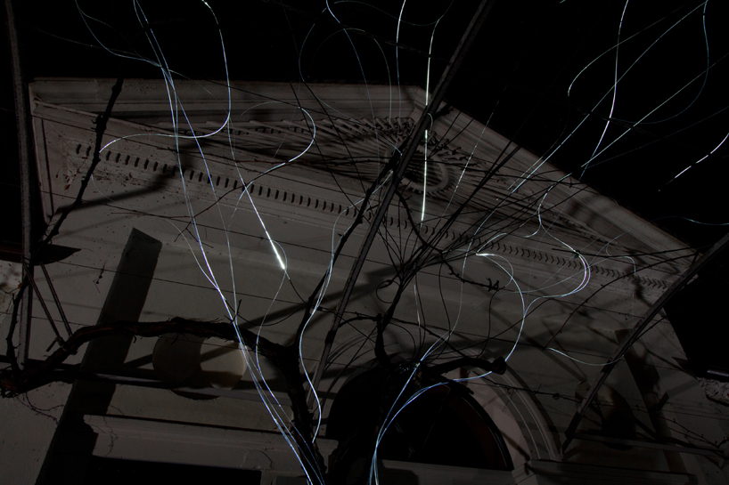 growing light by gorillalighting