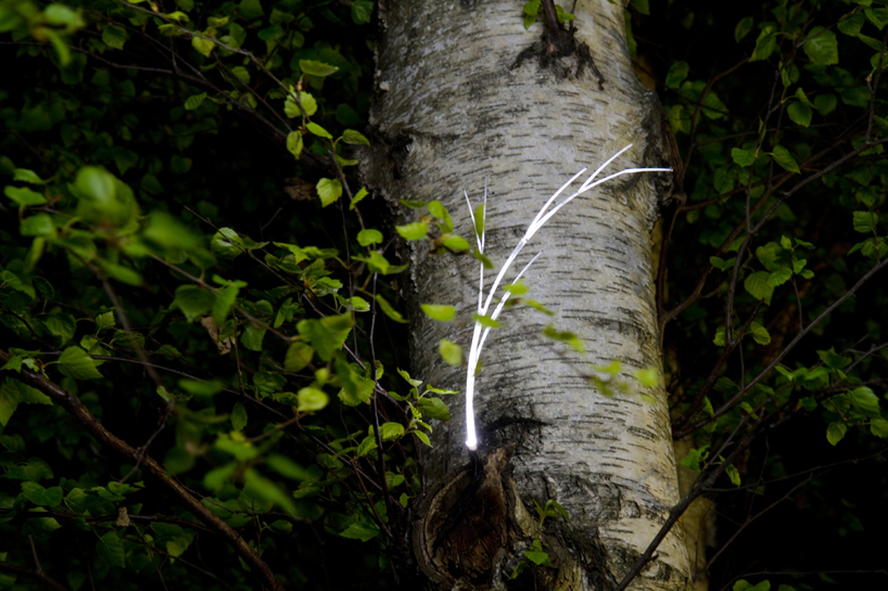 growing light by gorillalighting