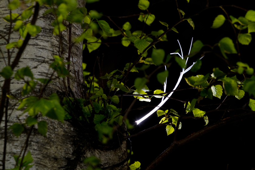 growing light by gorillalighting