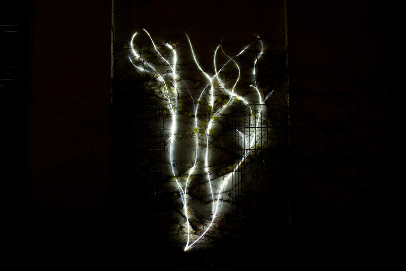 growing light by gorillalighting