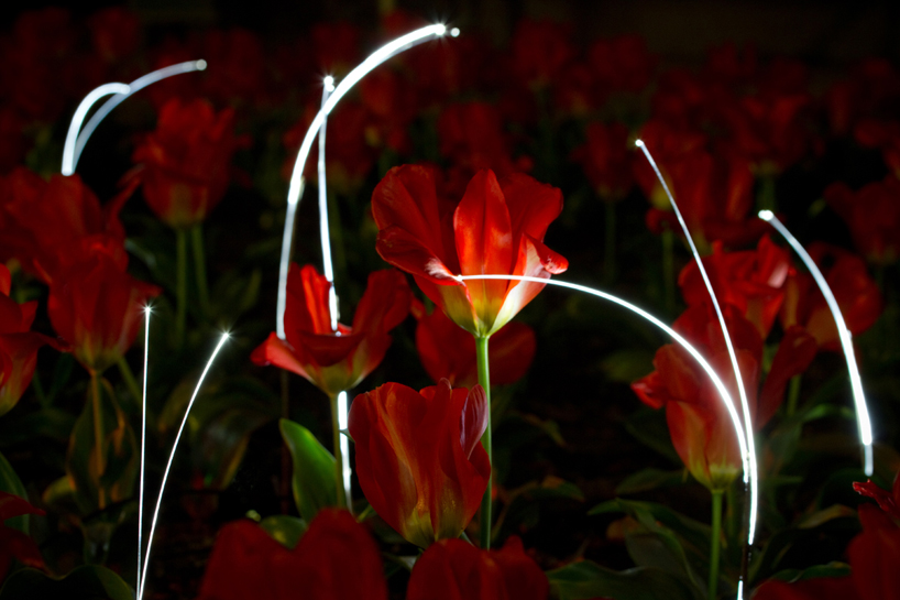 growing light by gorillalighting