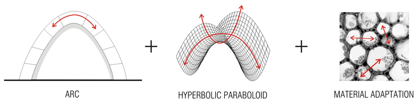 honey scape by gon&ccedil;alo castro henriques