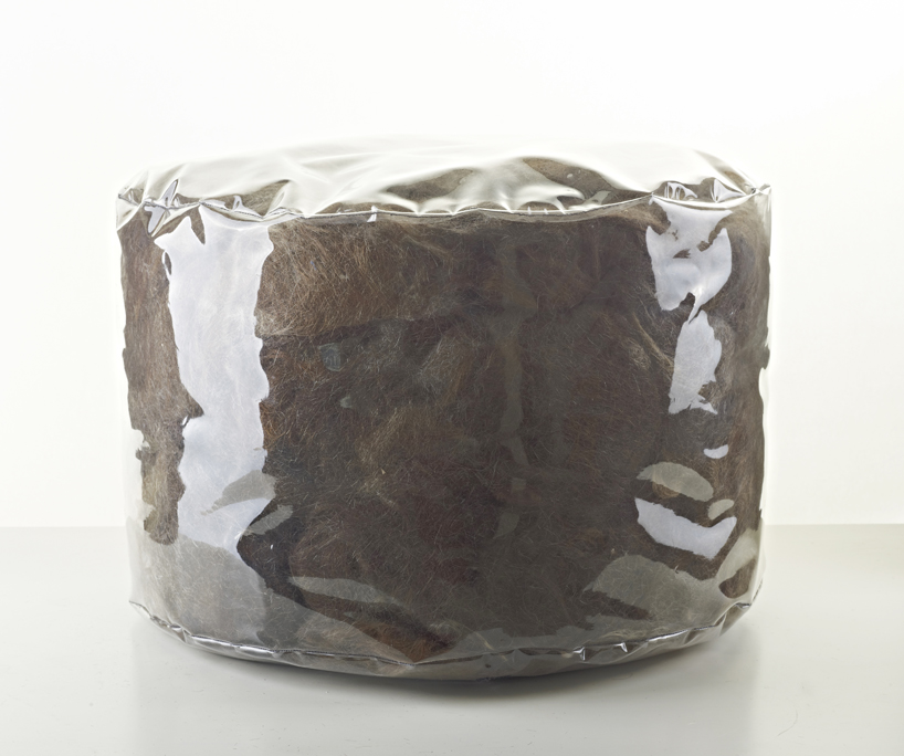 ola giertz: the bare hair project