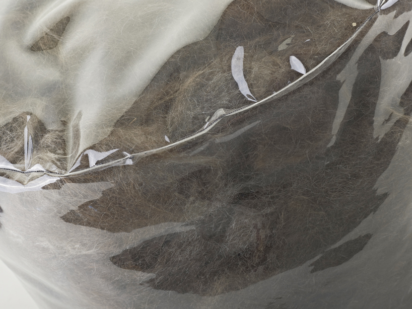 ola giertz: the bare hair project