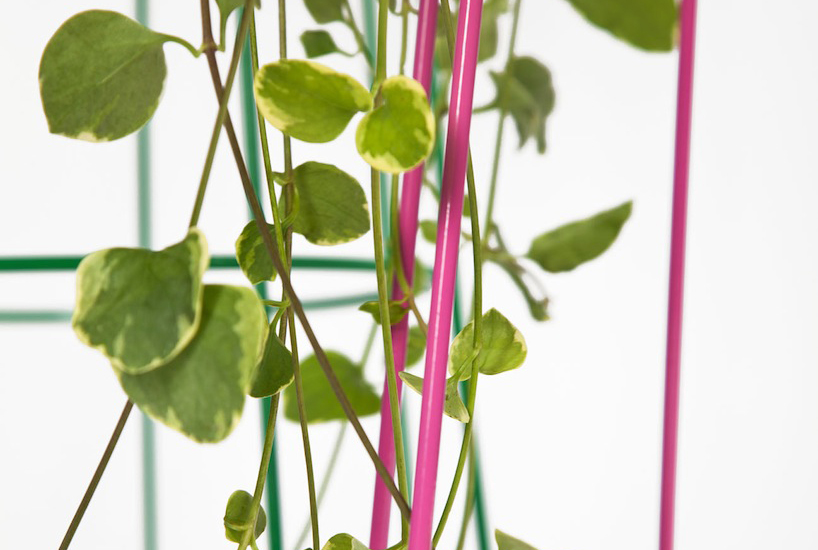 jorge diego etienne: first object for savvy studio