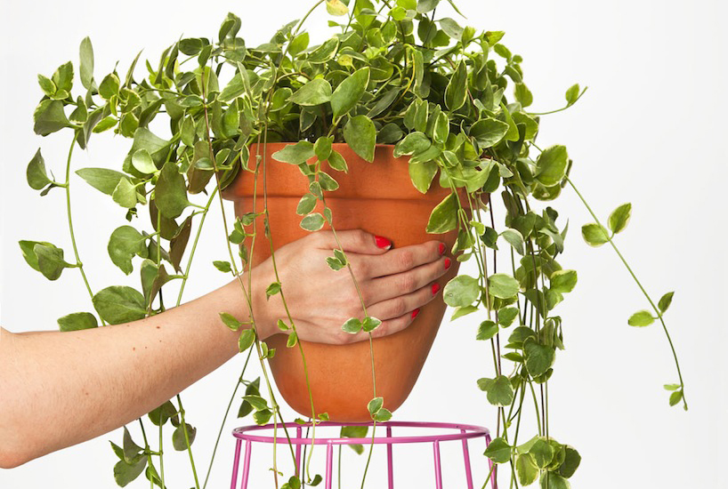 jorge diego etienne: first object for savvy studio