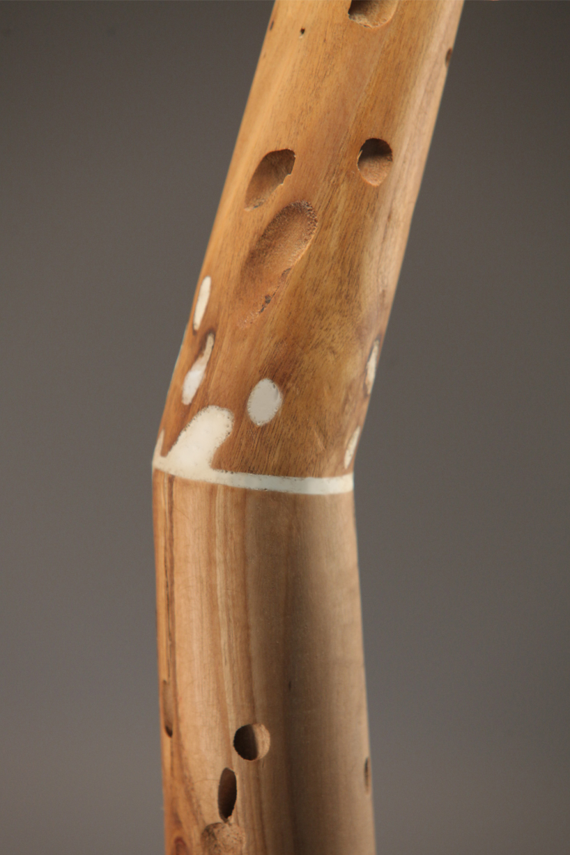 yaron hirsch: animal vegetable mineral