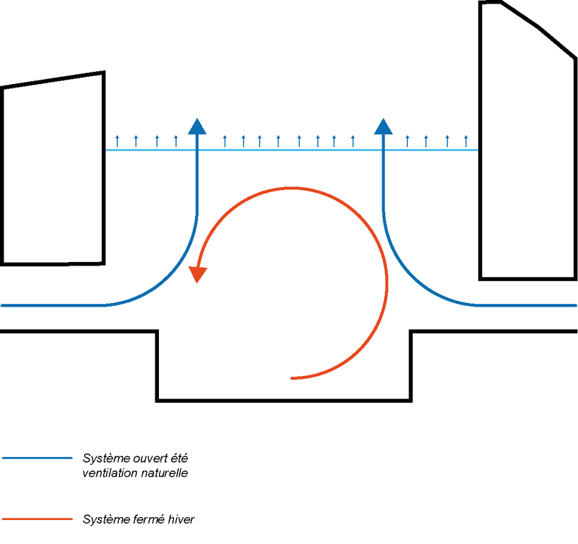 guillaume trenda: library of jewish culture in budapest, hungary