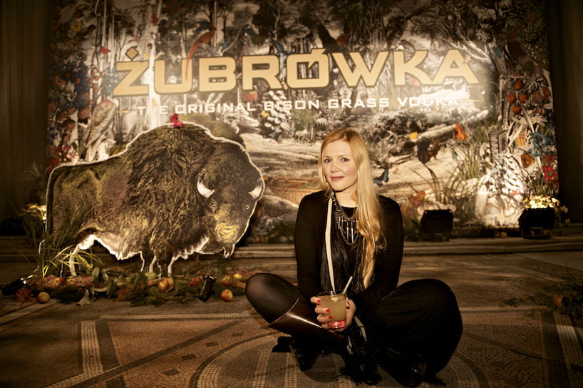 purple creative: zubrowka bison grass vodka identity