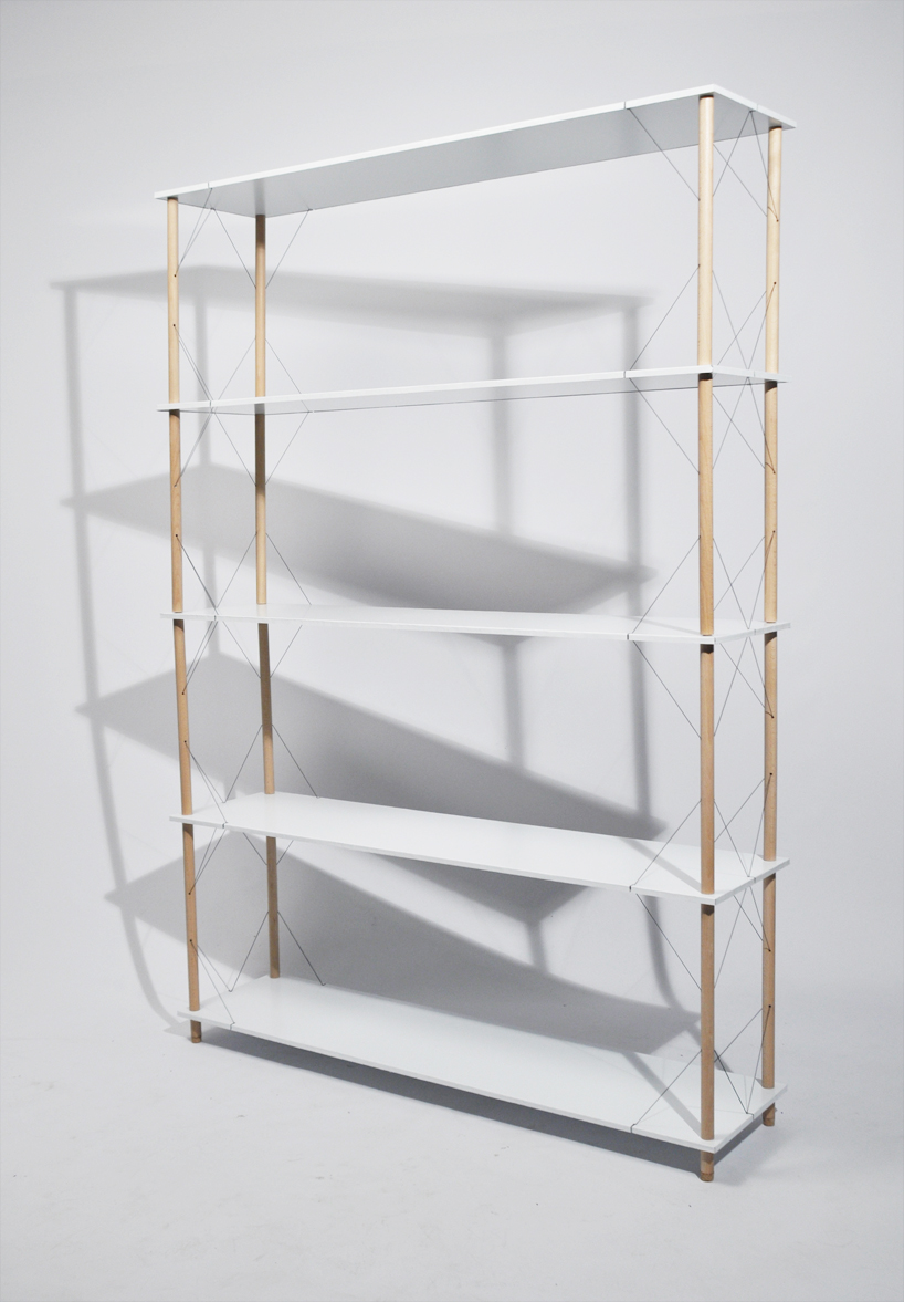 siyuan zhang: wired shelf assembly
