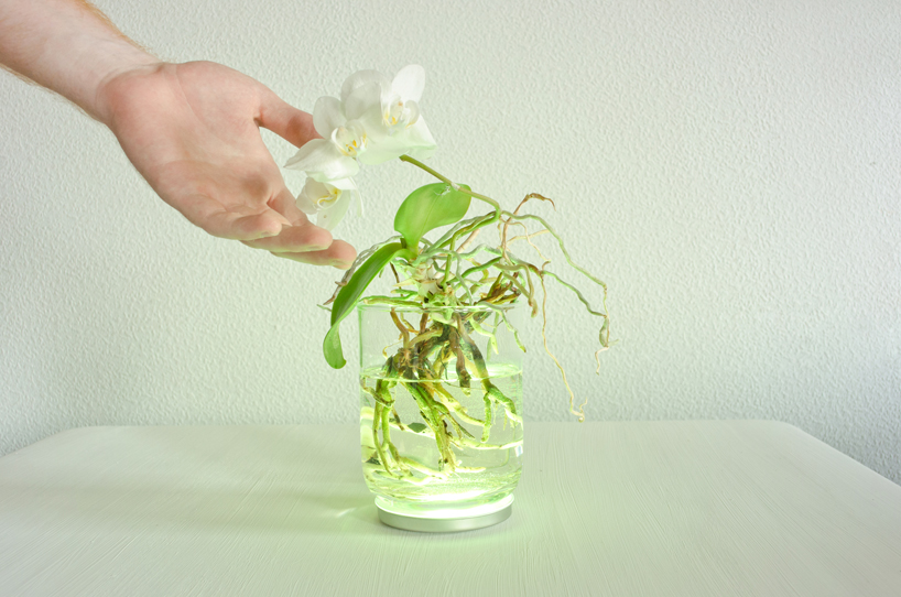 viktor k&ouml;lbig: aura plant controlled lighting