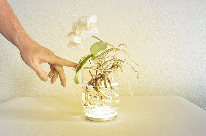 viktor k&ouml;lbig: aura plant controlled lighting