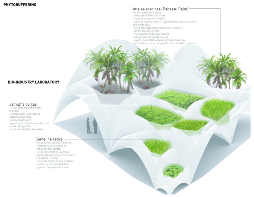 a. conway pedron + rebecca bartlett: symbiotic vaulting for libreville airport in gabon