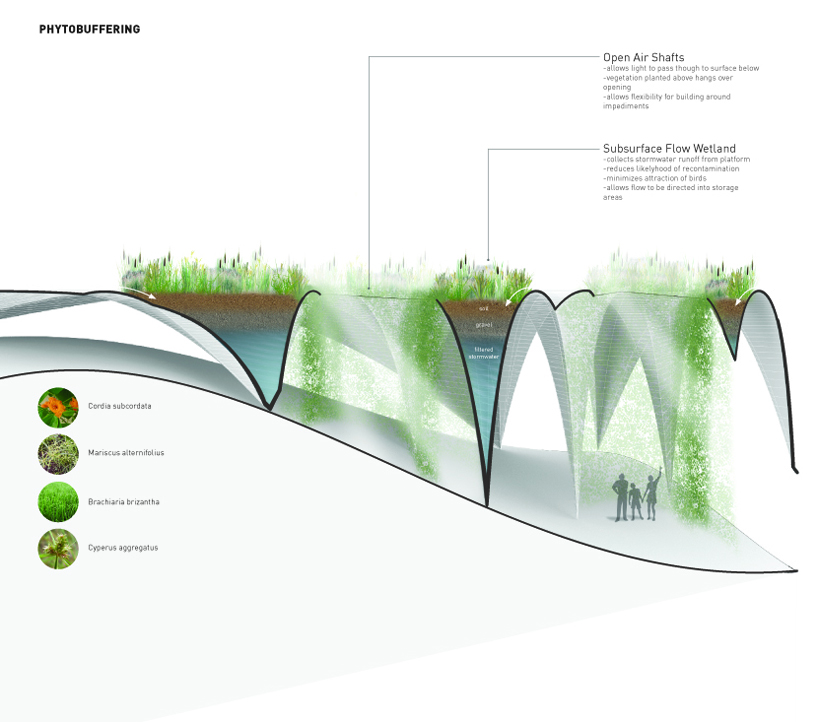 a. conway pedron + rebecca bartlett: symbiotic vaulting for libreville airport in gabon