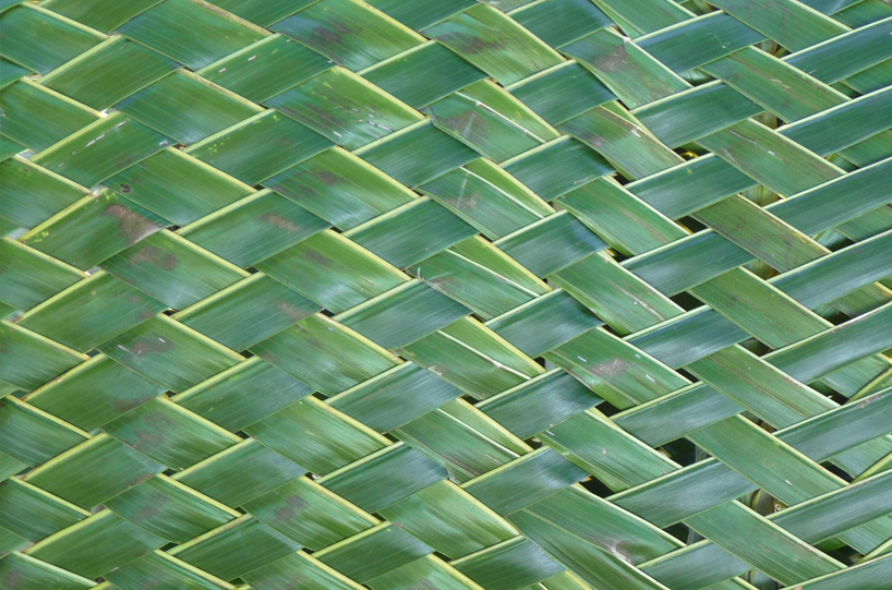 iv&aacute;n ju&aacute;rez: lightweave palm observatory