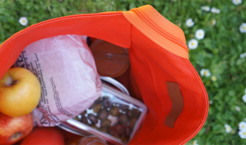 the picnic bag by rachel gant + andrew deming