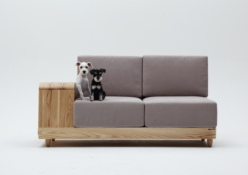 Dog cheap house sofa