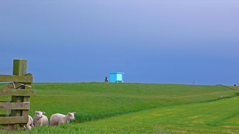 the blue house by odrada burghoorn