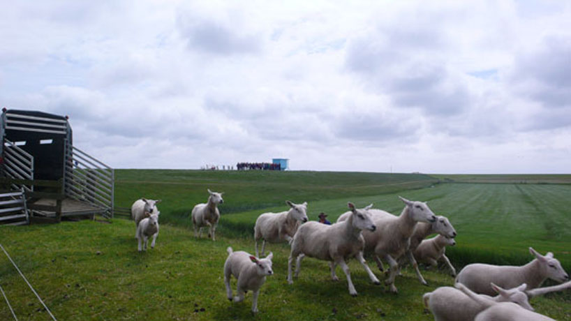 the blue house by odrada burghoorn