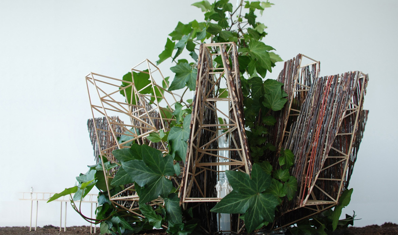 pablo zunzunegui: phytopia