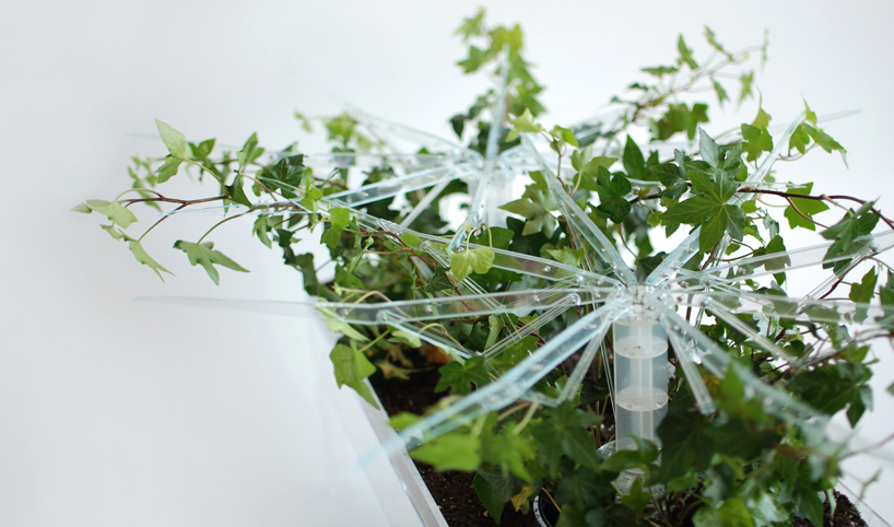 pablo zunzunegui: phytopia