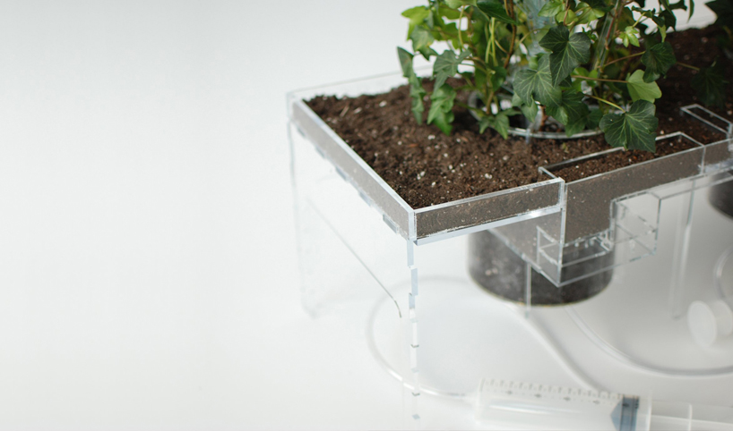 pablo zunzunegui: phytopia