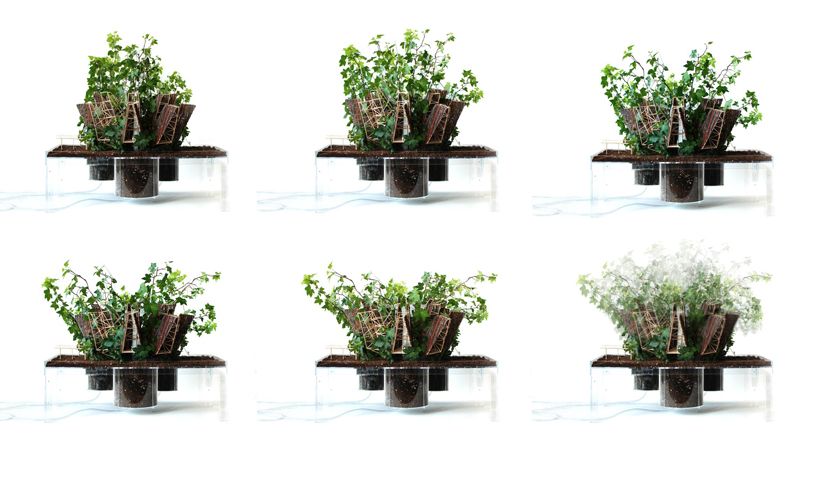 pablo zunzunegui: phytopia