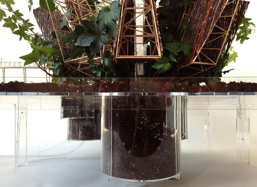 pablo zunzunegui: phytopia