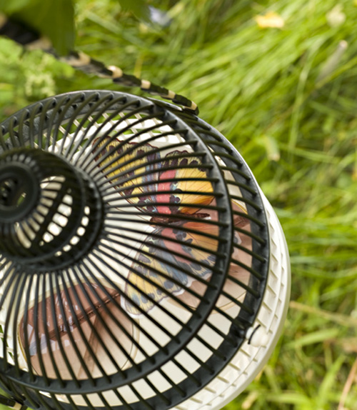 carnovsky: 'artificialia' birdcage bag