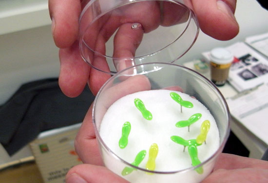 h concept / plus d at ICFF, ny design week 09