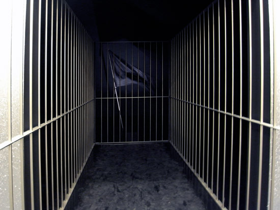 claude leveque: french pavilion at venice art biennale 09