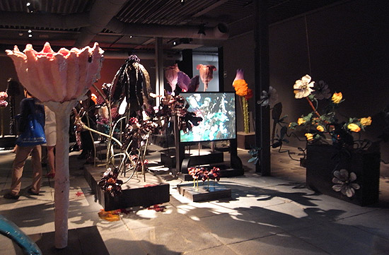 nathalie djurberg: 'turn into me' preview