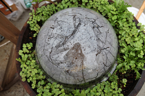 'waterpod' docks in new york