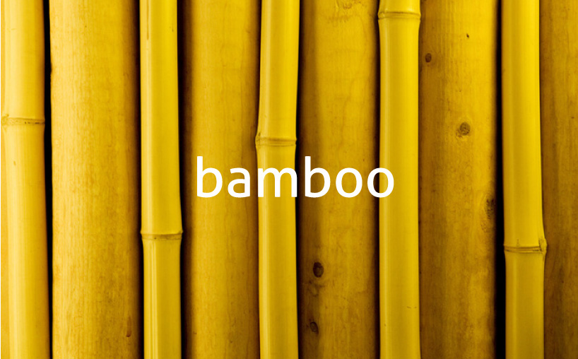 bamboo handle